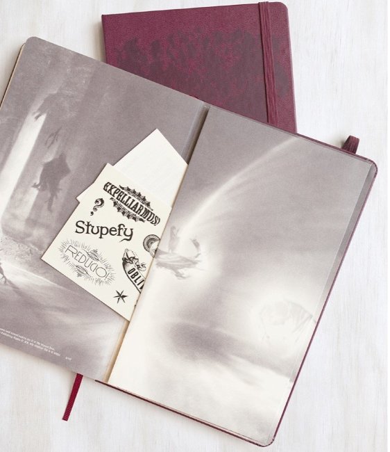 Блокнот Moleskine HARRY POTTER LARGE Limited Edition, линейка (Expecto Patronum)