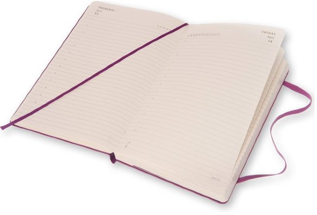 Ежедневник Moleskine CLASSIC DAILY LARGE, A5, фиолетовый