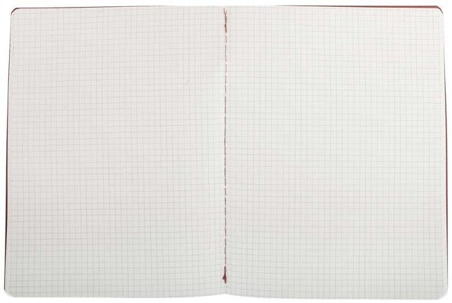 Блокнот Moleskine CAHIER JOURNAL XLarge, клетка, клюквенный (3шт)