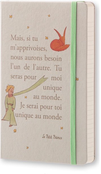 Ежедневник Moleskine LE PETIT PRINCE DAILY LG, A5, светло-серый