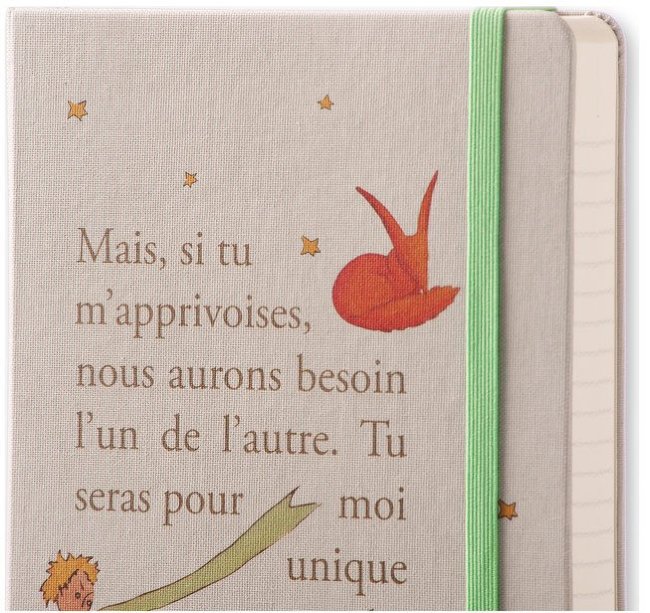 Ежедневник Moleskine LE PETIT PRINCE DAILY LG, A5, светло-серый