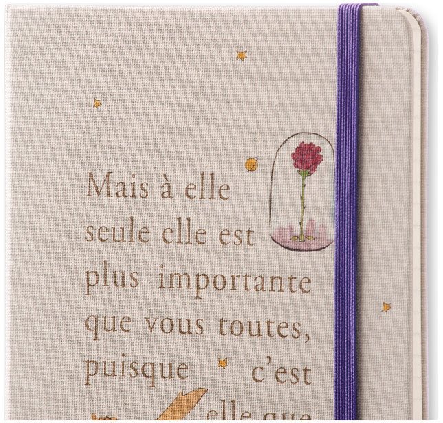 Еженедельник Moleskine LE PETIT PRINCE WKNT LG, A5, светло-серый