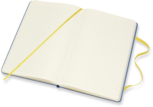 Блокнот Moleskine Limited Edition MINIONS Large, линейка, голубой