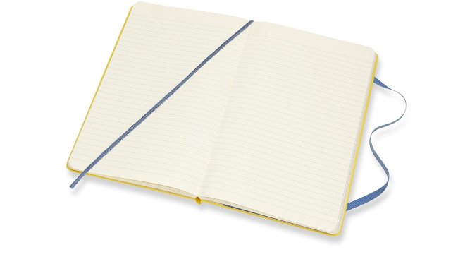 Блокнот Moleskine Limited Edition MINIONS Large, линейка, желтый