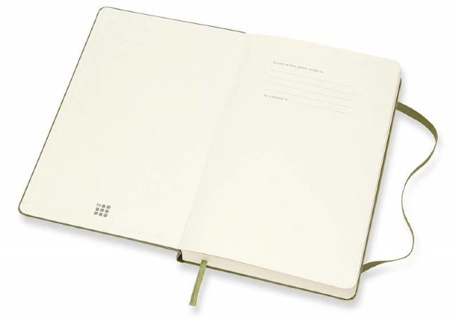 Еженедельник Moleskine CLASSIC DAILY LARGE, зеленый вяз Еженедельник Moleskine CLASSIC DAILY LARGE, зеленый вяз