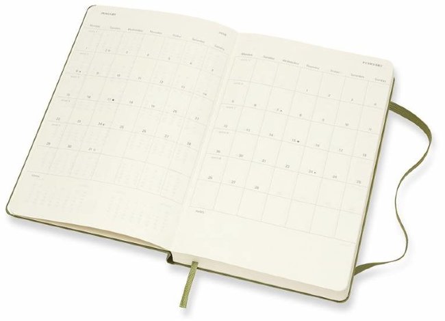 Еженедельник Moleskine CLASSIC DAILY LARGE, зеленый вяз Еженедельник Moleskine CLASSIC DAILY LARGE, зеленый вяз
