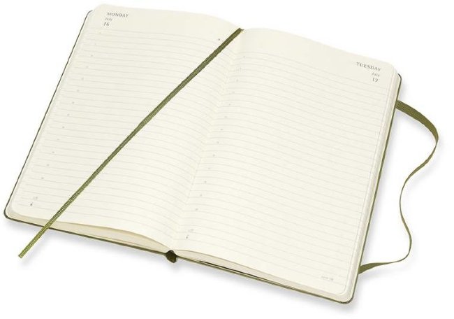 Еженедельник Moleskine CLASSIC DAILY LARGE, зеленый вяз Еженедельник Moleskine CLASSIC DAILY LARGE, зеленый вяз