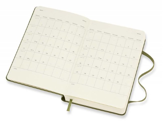Ежедневник Moleskine CLASSIC DAILY POCKET, зеленый вяз Ежедневник Moleskine CLASSIC DAILY POCKET, зеленый вяз
