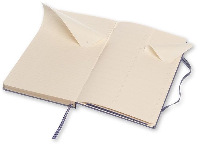 Блокнот Moleskine PROFESSIONAL LARGE, лавандовый
