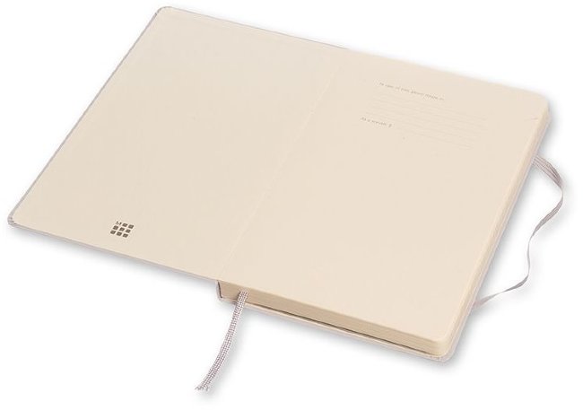 Блокнот Moleskine PROFESSIONAL LARGE, серый Блокнот Moleskine PROFESSIONAL LARGE, серый