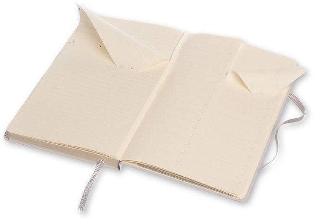 Блокнот Moleskine PROFESSIONAL LARGE, серый Блокнот Moleskine PROFESSIONAL LARGE, серый