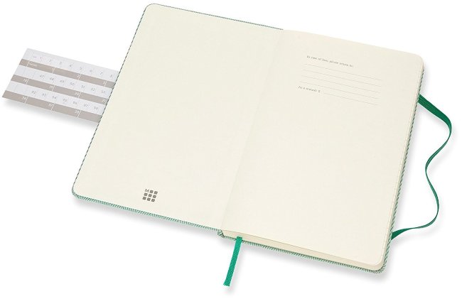 Блокнот Moleskine BLEND LARGE Limited Edition, линейка, зеленый