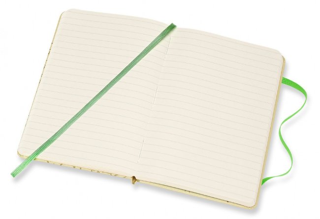 Блокнот Moleskine Limited Edition Lord of the Rings Pocket, линейка, фисташковый Shire